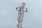 floating-Breaking News! Bendera...