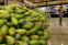 floating-Mangga Food Estate Diyakini...