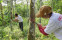 floating-Orang Muda Ganjar Serap...