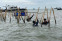 floating-Nusron Wahid Akui Pagar...
