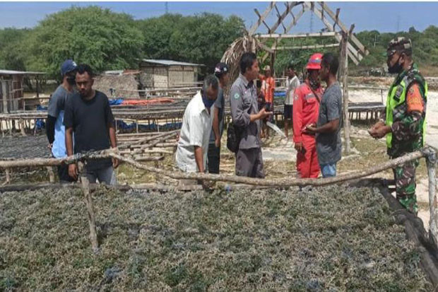 Proyek PLTU Timor 1...