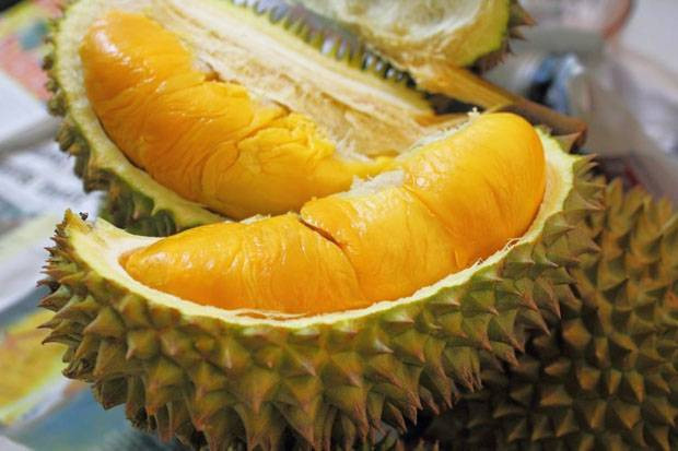 Durian dan Kelapa Turut...