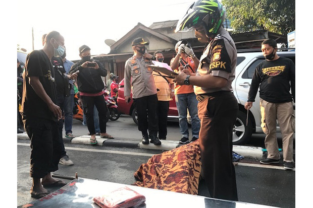 Tertimpa Pohon Tumbang,...