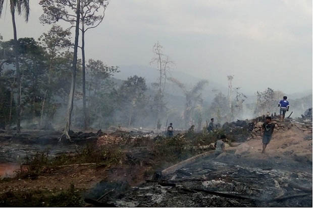 Cegah Karhutla, Kementerian...
