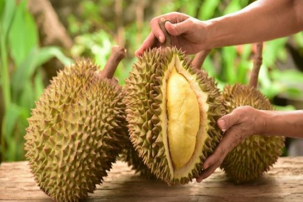 Disukai hingga Penjuru...