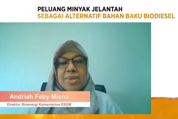 Minyak Jelantah Bisa...