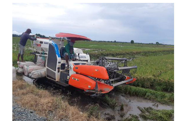 Gubernur Kalteng Tinjau...