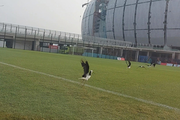 Pengelola Stadion JIS...