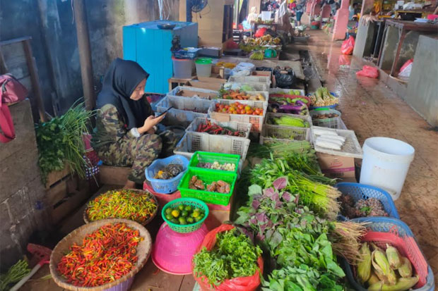 Harga Cabai di Luwu...