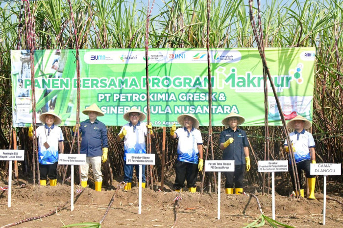 Program Makmur Petrokimia...