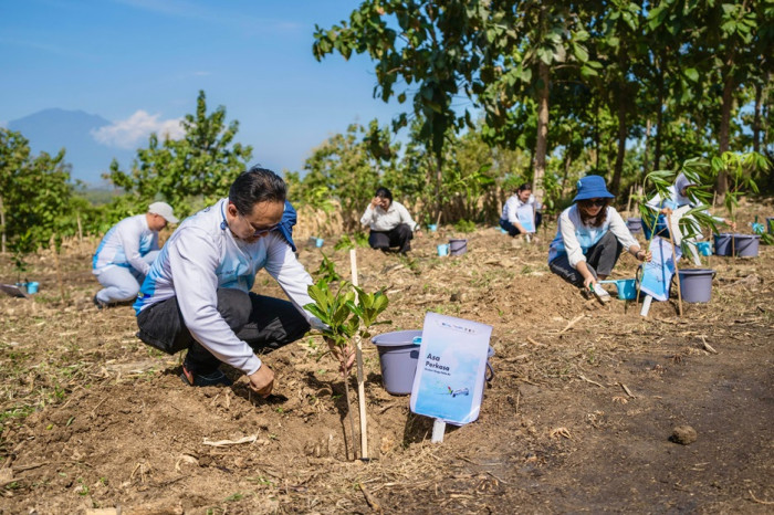 Pelita Air dan Pertamina...