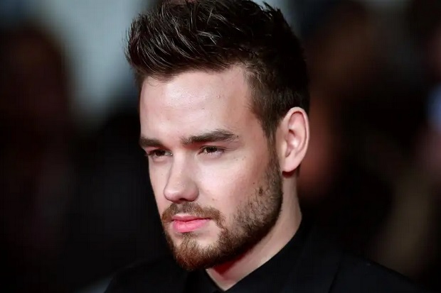 One Direction Berencana...