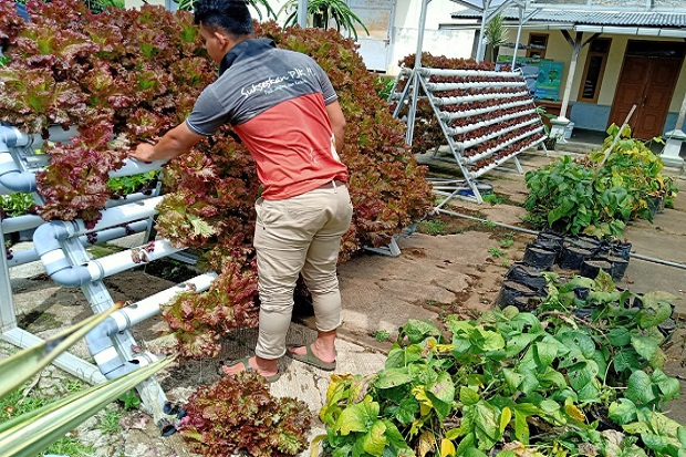 Di Tengah Pandemi Corona,...