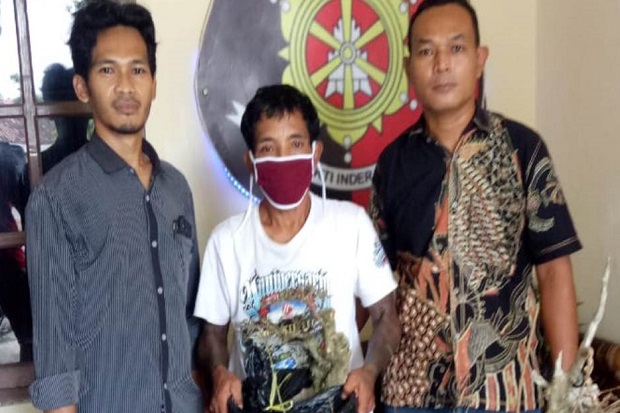 Curi Bonsai Teman dan...