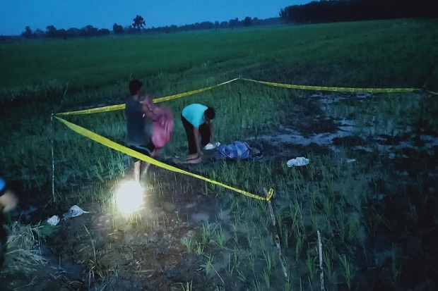 Seorang Petani Tewas...