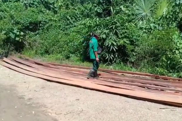 Illegal Logging Marak...