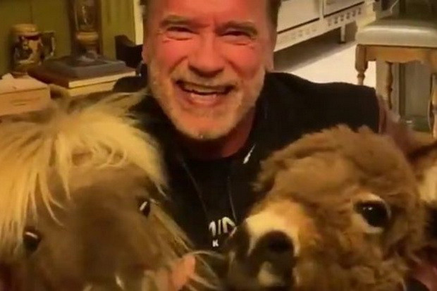 Arnold Schwarzenegger...