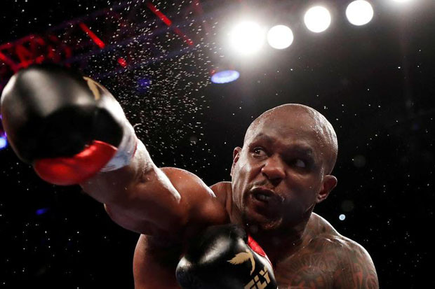 Dillian Whyte Sesumbar...