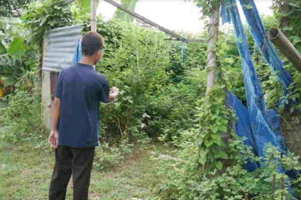 Penemuan Bayi Laki-laki...