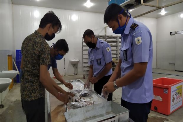 KKP Pastikan Cold Storage...