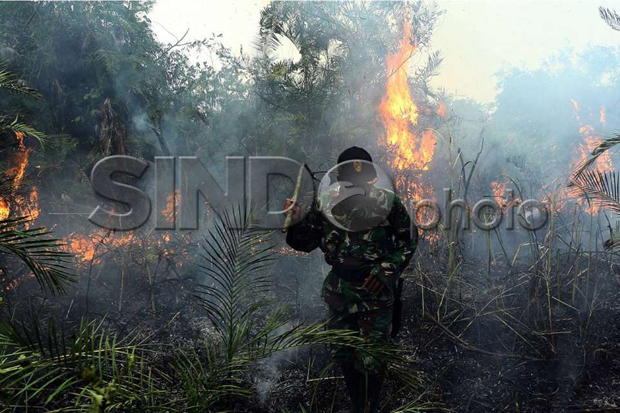 KLHK Tingkat Kemampuan...