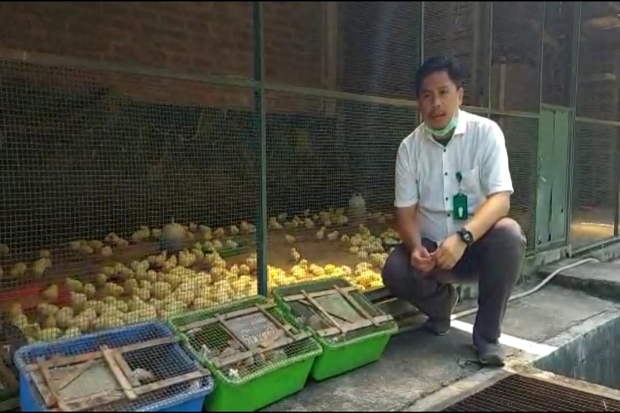 Donasi Pakan untuk Satwa...