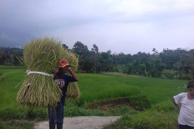 10 Ribu Desa Telah Cairkan...
