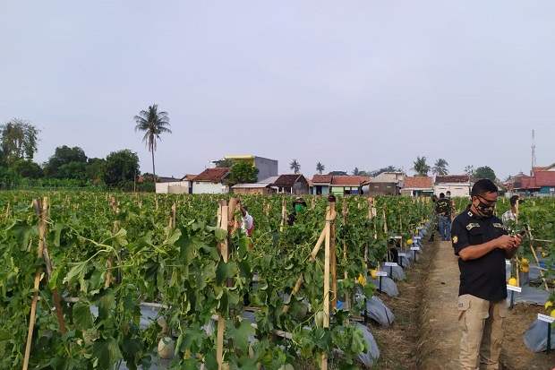 Kementan Dukung Petani...
