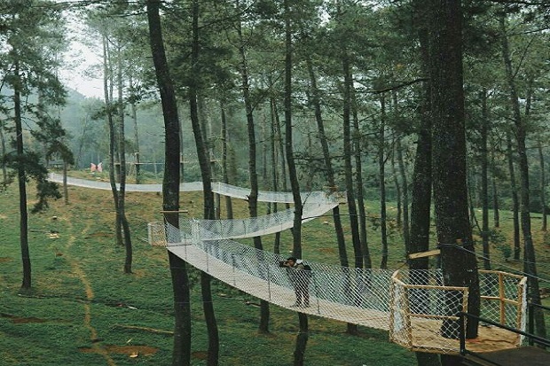 Orchid Forest, Destinasi...
