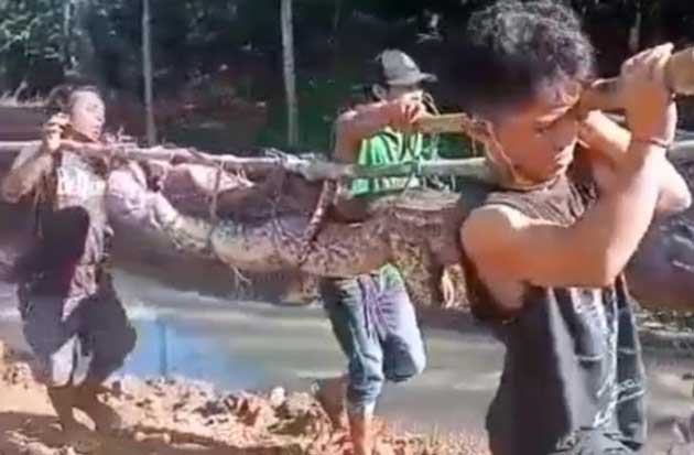 Panik, Warga Terpaksa...