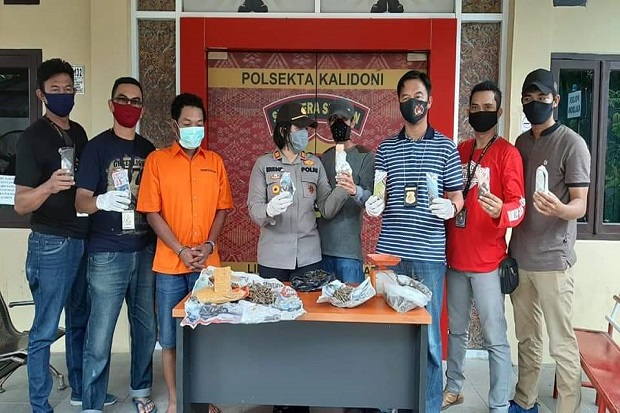 Buruh Pengedar Ganja...