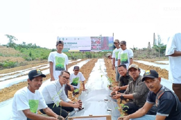 Berkah Kemitraan Kelompok...