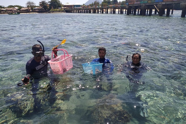 662 Bintang Laut Mahkota...