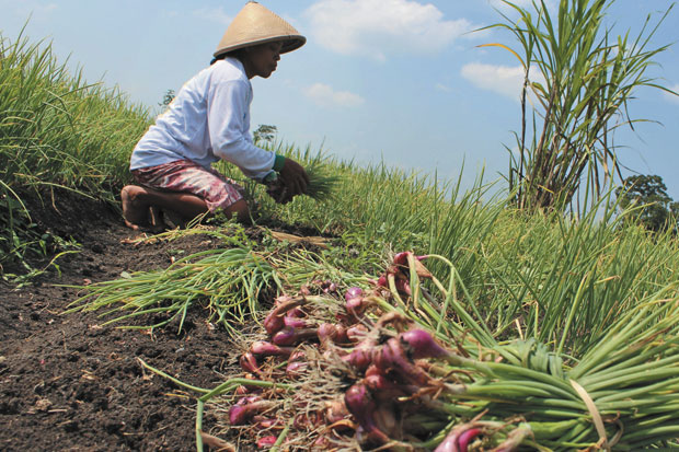 INAgri : AWR Kementan...