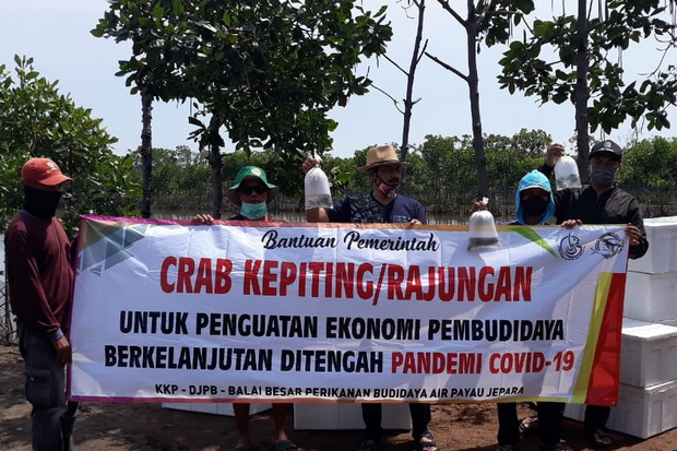 KKP Distribusikan Bantuan...