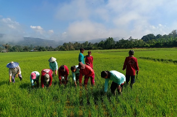 Kabupaten Poso Dukung...