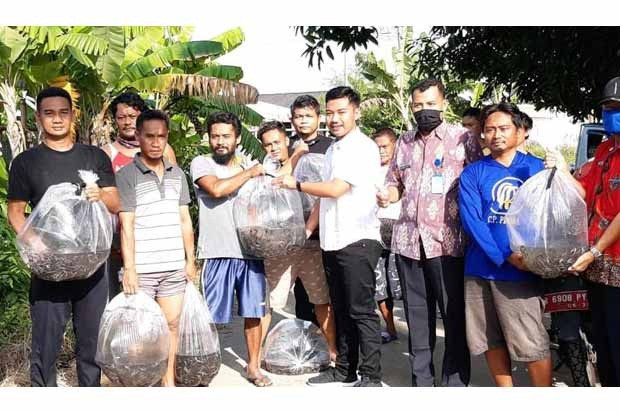Bantuan Benih Ikan Ini...