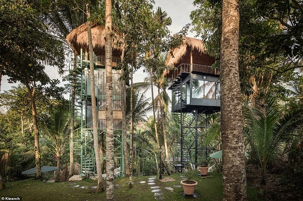 Hotel di Atas Pohon...