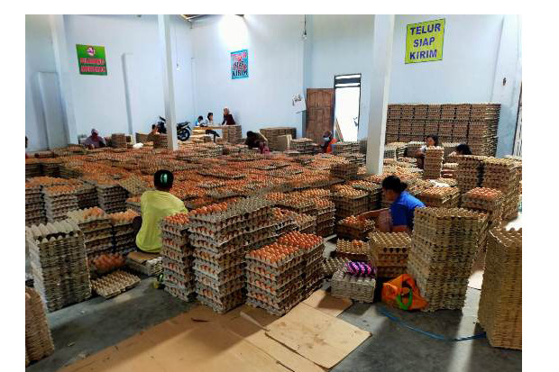 Kementan: Harga Ayam...