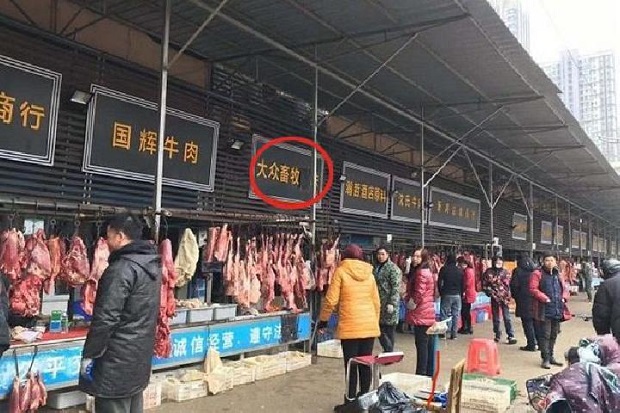 Wuhan Melarang Memakan...