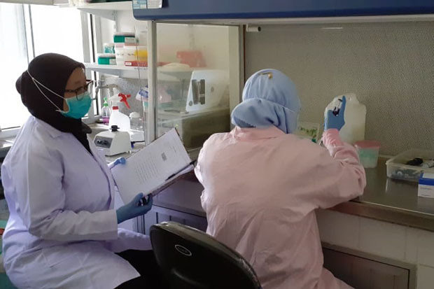 Belasan Laboratorium...