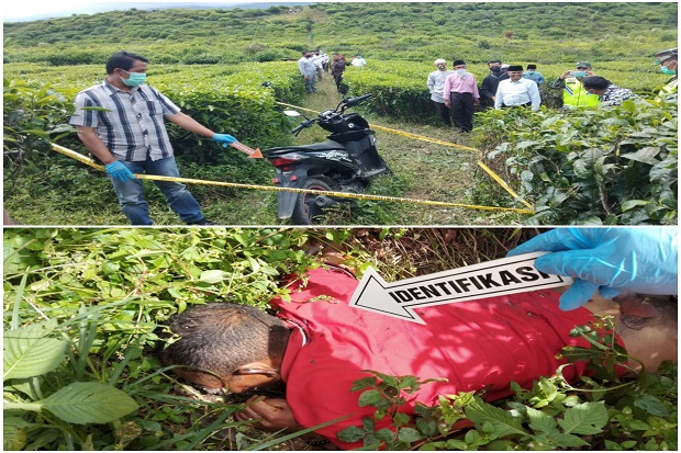 Mayat di Kebun Teh Kayuaro,...