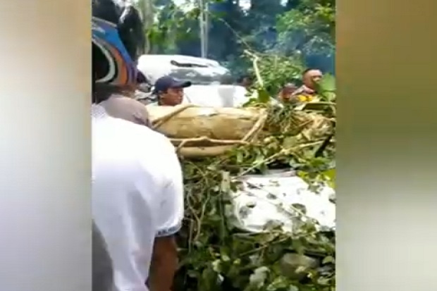 Mobil Tertimpa Pohon,...