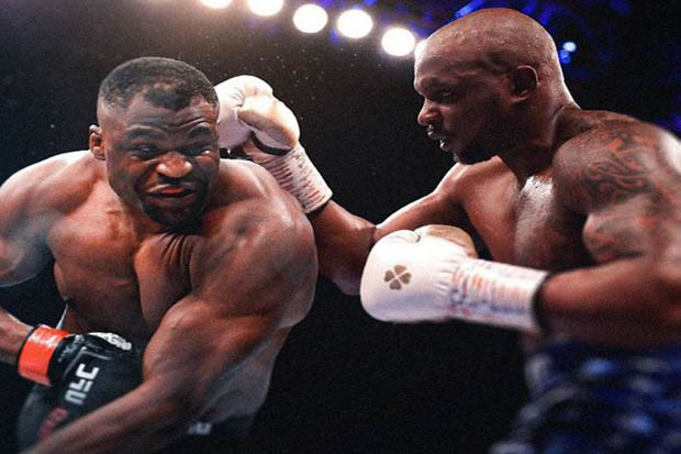 Duel Whyte vs Ngannou...