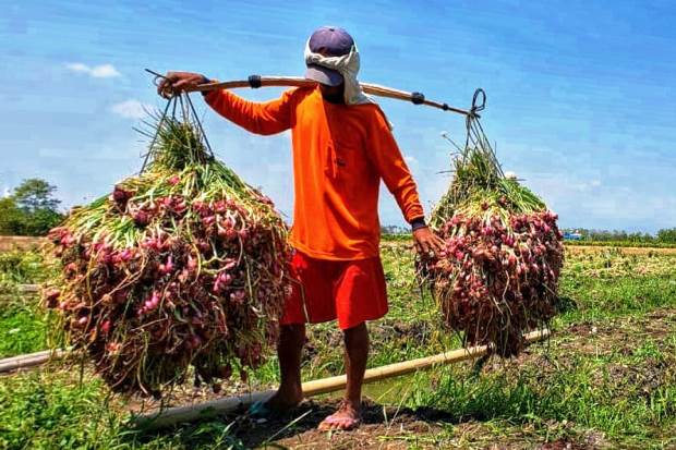Mentan Pastikan Produksi...