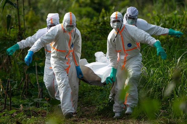 Ebola Merebak di Kongo,...
