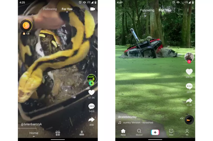 Zynn Pesaing TikTok...