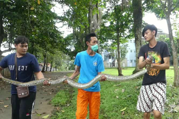 Masuk Kampus Unwiku...