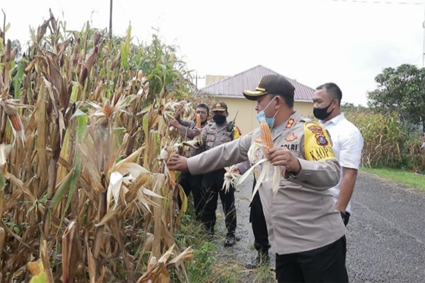 Kapolres Simalungun...