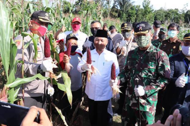 Pandemi COVID-19, Warga...